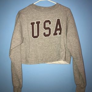 USA cropped hoodie from pacsun